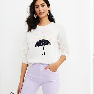 LOFT Spring Rain Sweater Crew Neck Long Sleeve Neutral Sweater Size L